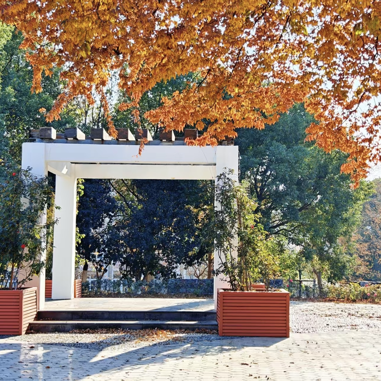 Q型部分回轉(zhuǎn)閥門電動(dòng)執(zhí)行器